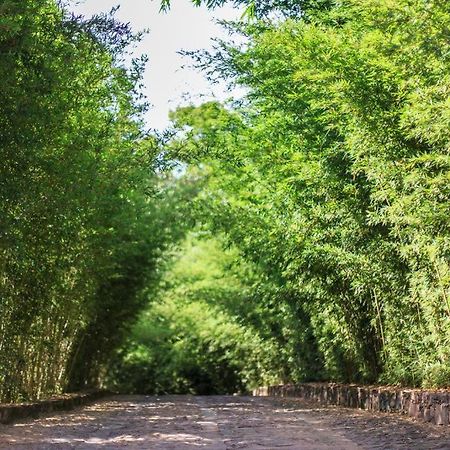 Pousada Bosque Do Lapao Lencois Eksteriør billede