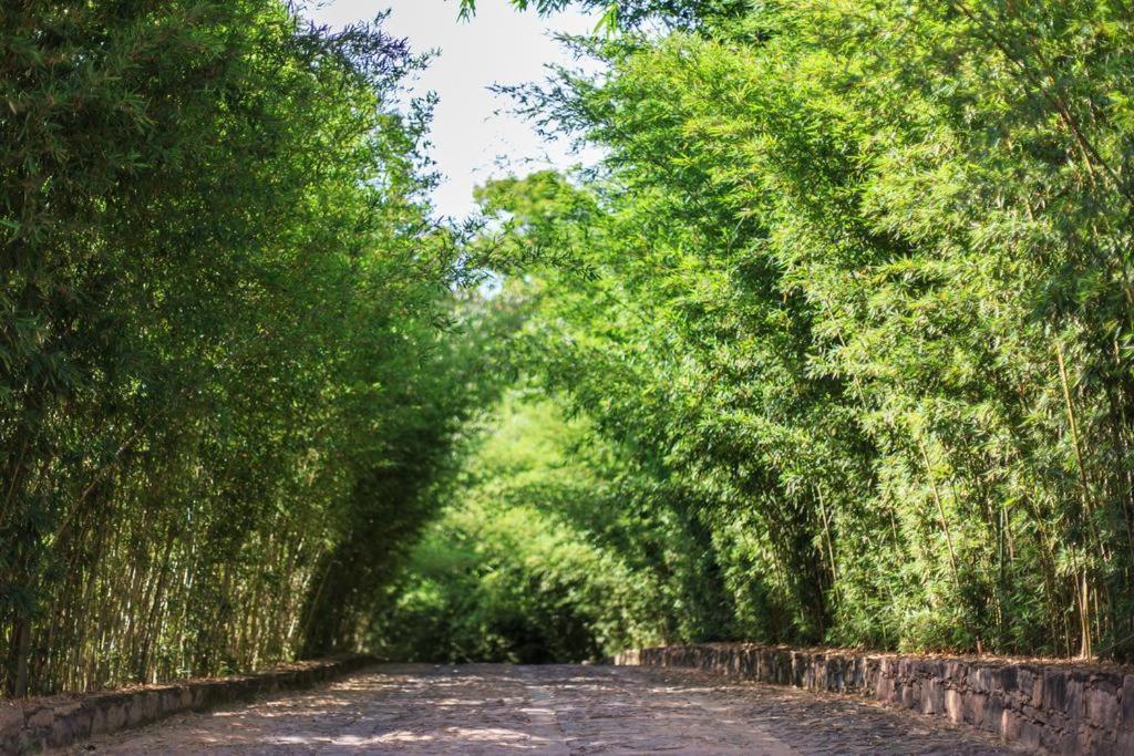 Pousada Bosque Do Lapao Lencois Eksteriør billede